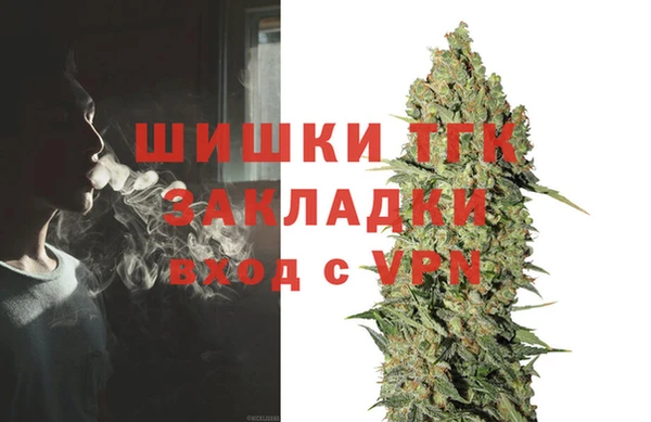 сатива Арсеньев