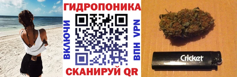 Бошки марихуана семена  Нефтекумск 